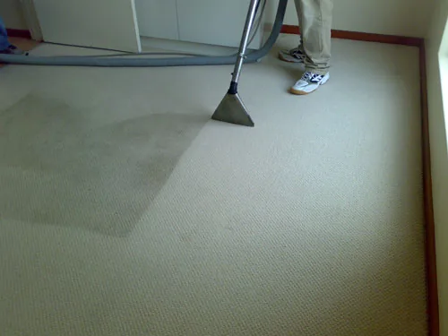 Shiny Carpet Cleaning project 4