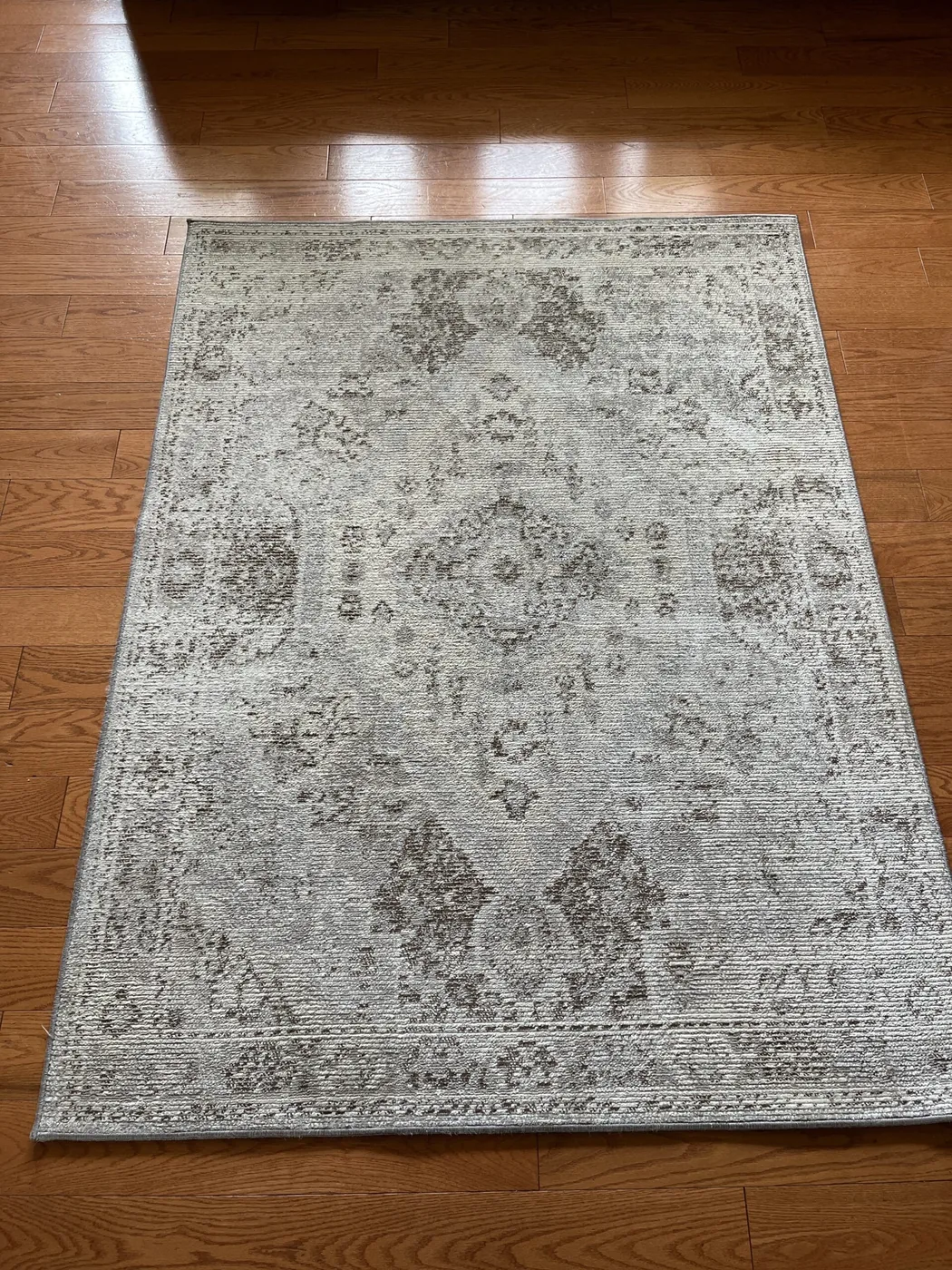 Shiny Carpet Cleaning project 7