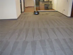 Shiny Carpet Cleaning project 13