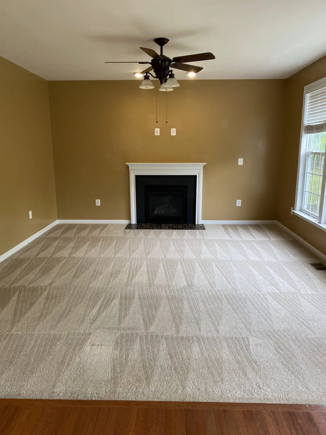 Shiny Carpet Cleaning project 22