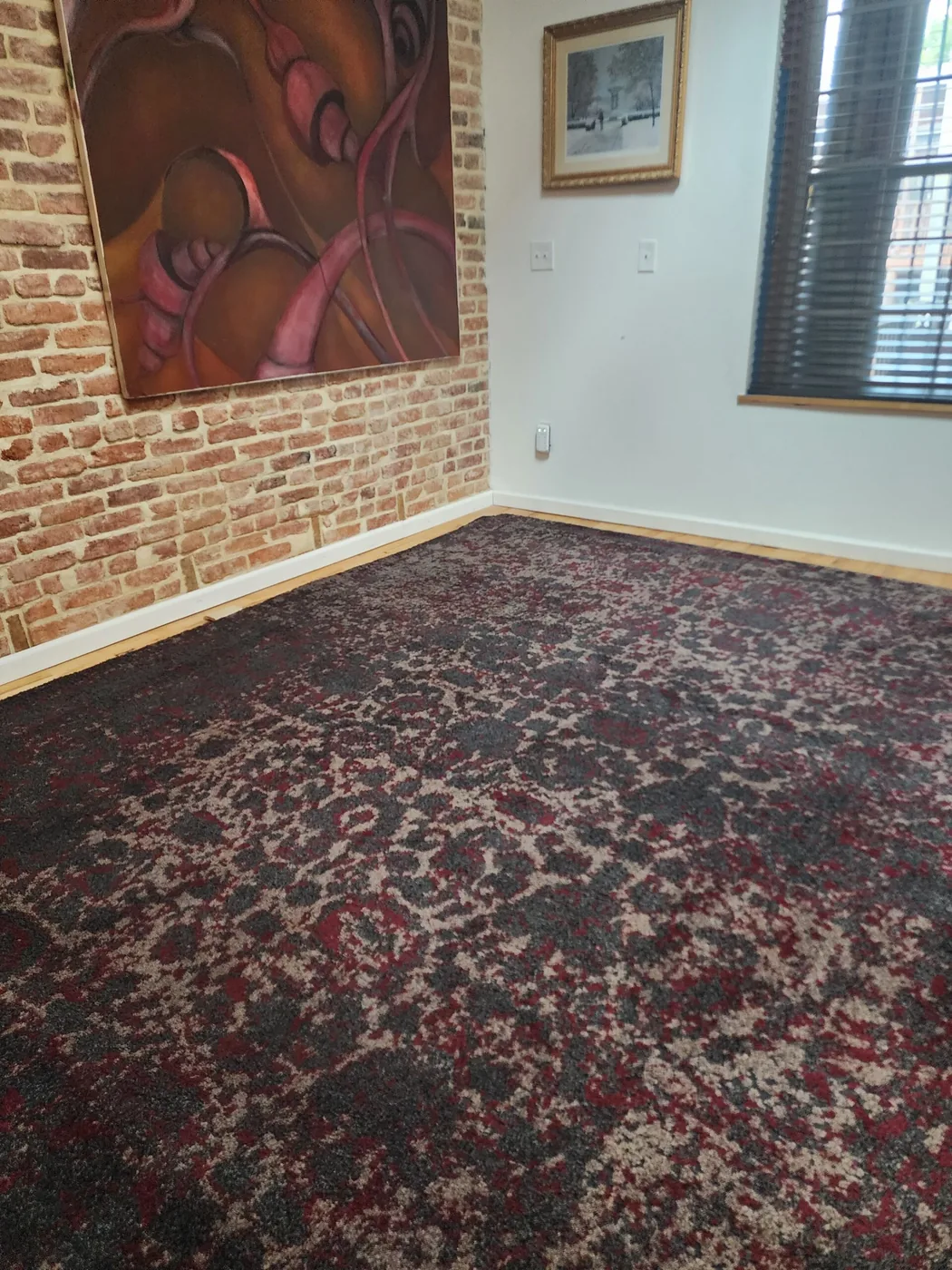 Shiny Carpet Cleaning project 23
