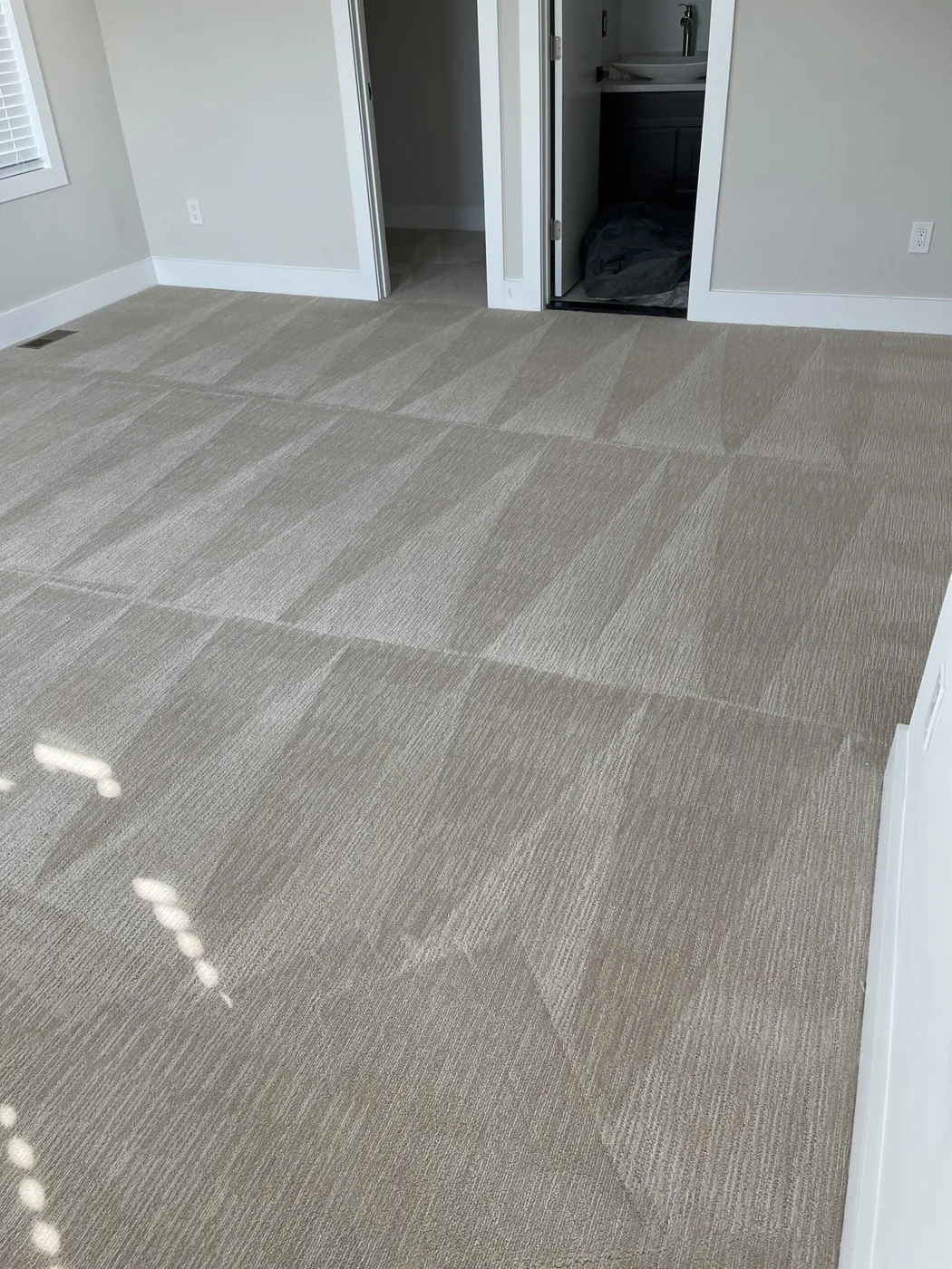 Shiny Carpet Cleaning project 39