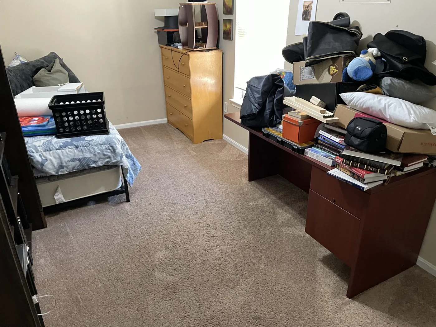 Shiny Carpet Cleaning project 43