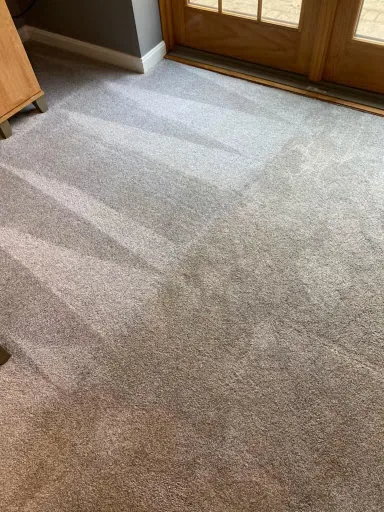 Shiny Carpet Cleaning project 45