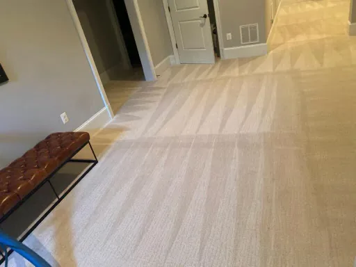 Shiny Carpet Cleaning project 48