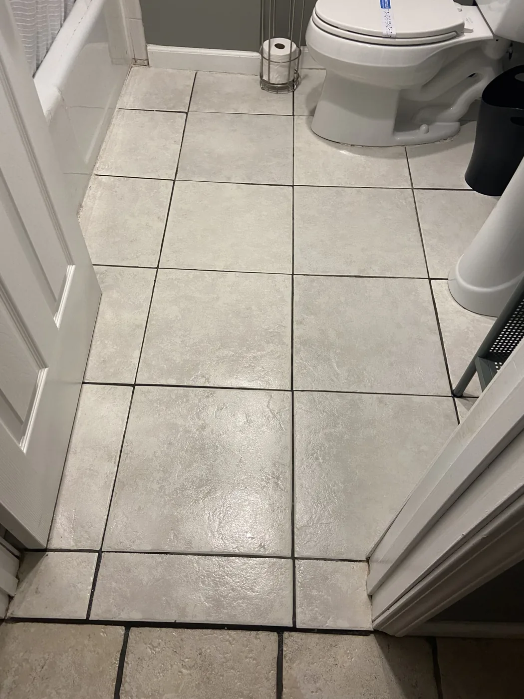 Shiny Carpet Cleaning project 50