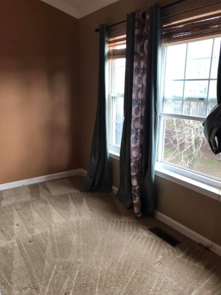 Shiny Carpet Cleaning project 53