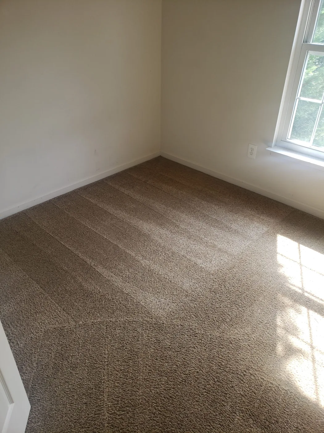 Shiny Carpet Cleaning project 56