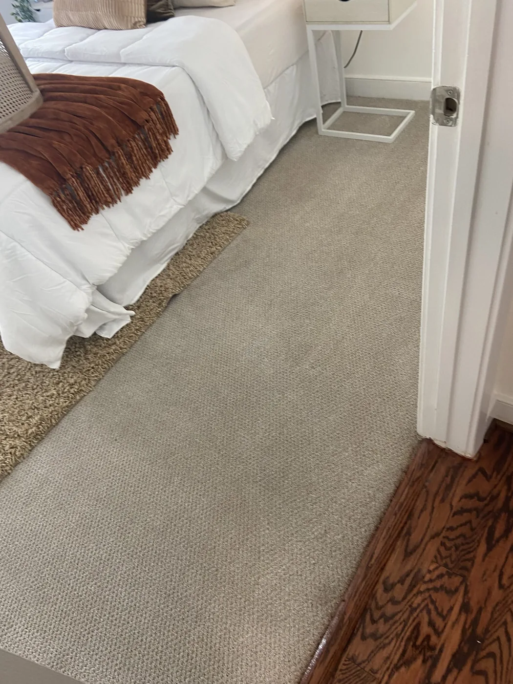 Shiny Carpet Cleaning project 58