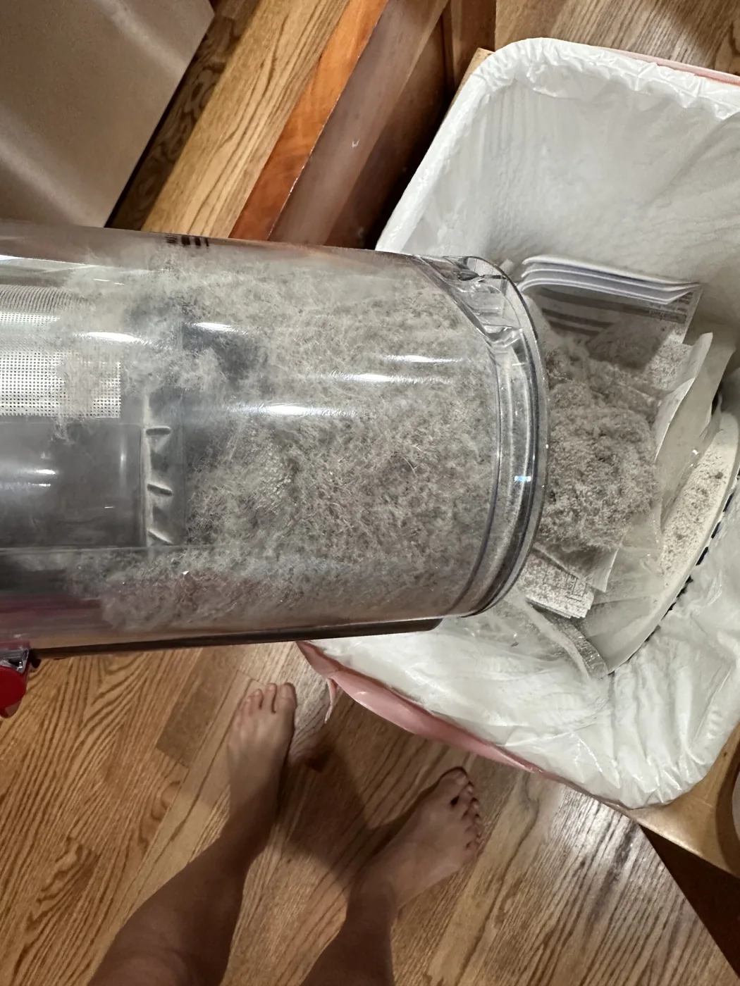 Shiny Carpet Cleaning project 59